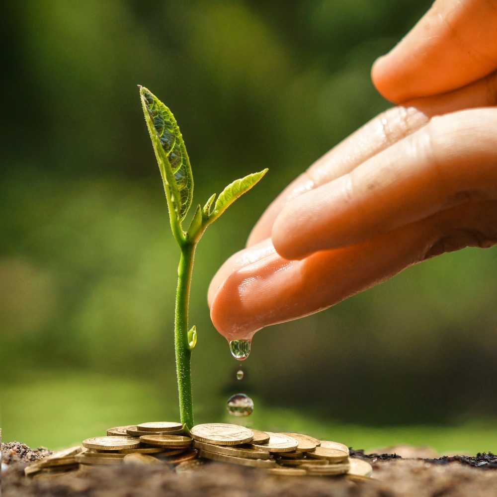 CSR initiatives at Shri Krishna Logistics