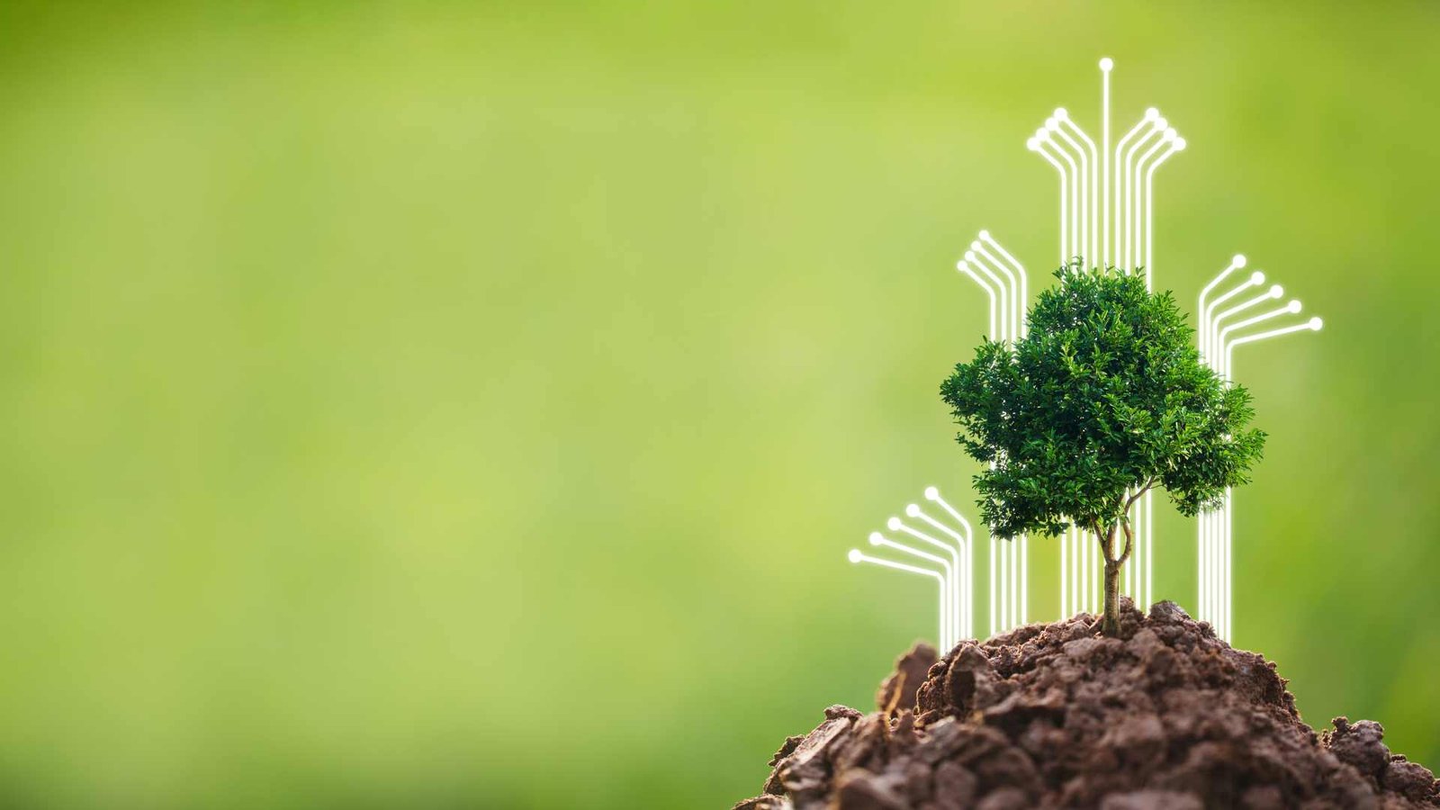 CSR at Shri Krishna Logistics